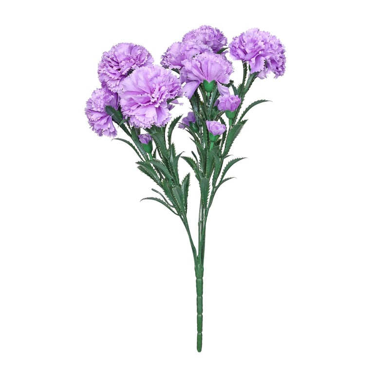 Essential Lavender Carnation Bunch - Fresh Floral Arrangement for Home & Garden Decor