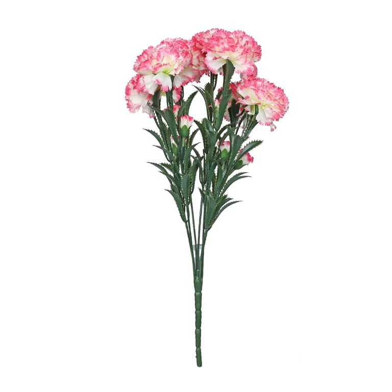 Essential Pink Carnation Bunch - Fresh Floral Arrangement for Home Decor and Garden Flowers