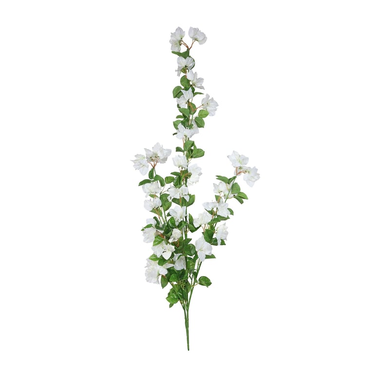 White Bougainvillea Trail - Essential Fragrance for Outdoor Spaces and Home Decor