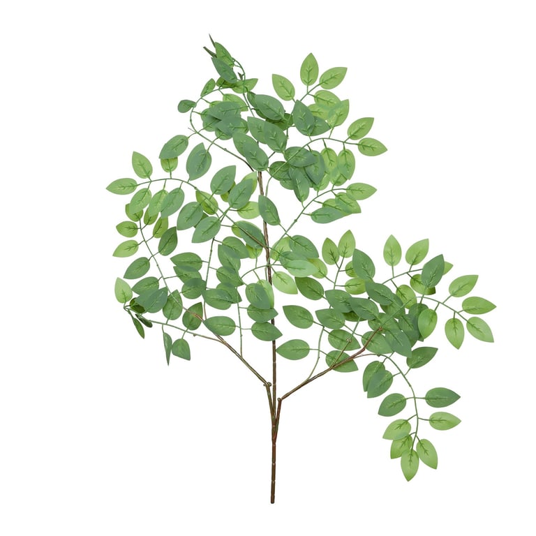 Essential Green Wisteria Leaves - Home Decor Botanical Wall Hanging
