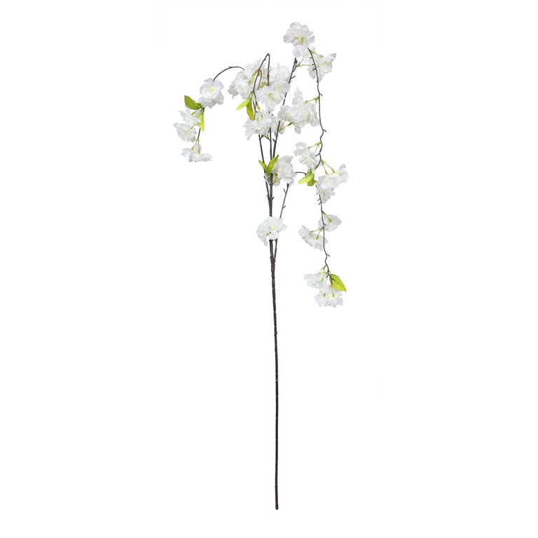 Essential White Weeping Cherry Blossom Tree - Springtime Garden Decoration and Home Decor Feature