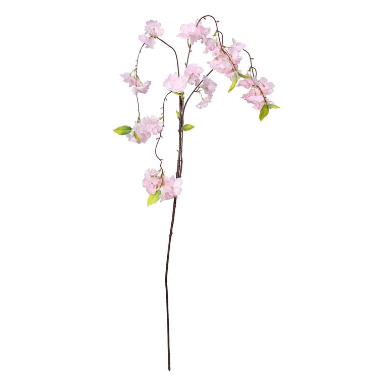 Essential Weeping Cherry Blossom Dark Pink Fragrance Oil - Home Garden Scent Beauty Essential