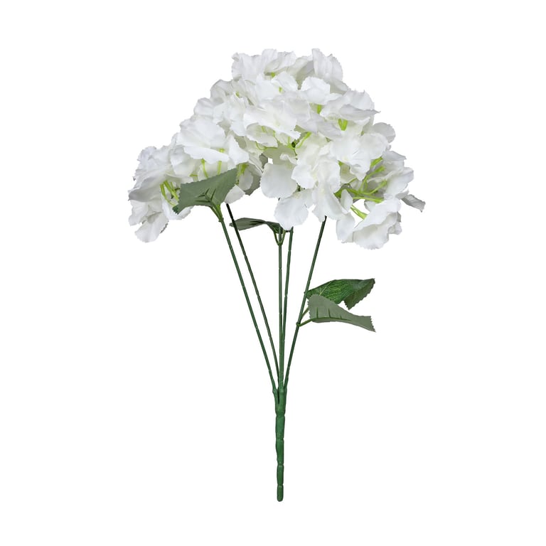 Essential White Hydrangea Bush - Vibrant Outdoor Flowering Shrub for Gardens