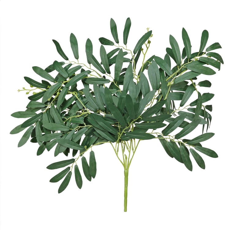 Essential Green Leaf Bush - Tropical Indoor and Outdoor Garden Decoration Plant