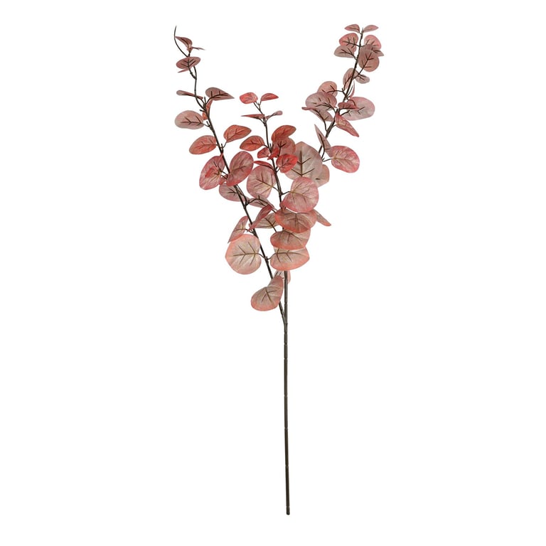 Autumn Eucalyptus Stem - Pink Fresh Eucalyptus Branch for Home Decor and Fall Decoration