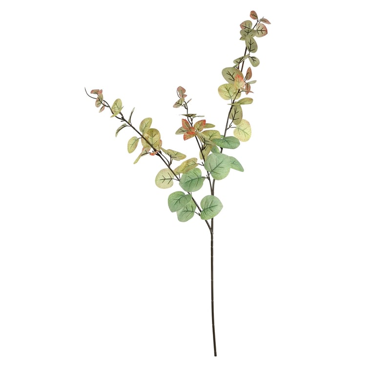 Autumn Eucalyptus Stem - Green & Red Decorative Elements for Home Decoration