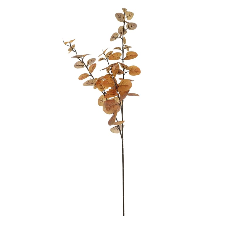 Natural Autumn Eucalyptus Stem - Brown Home Decor Accent