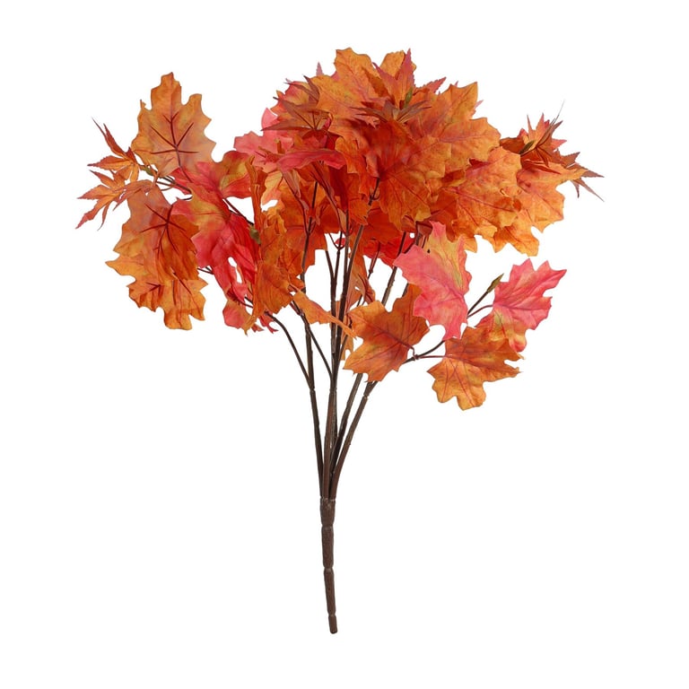 Essential Autumn Maple Bush - Red: Vibrant Fall Foliage Plant for Home Garden Decorations