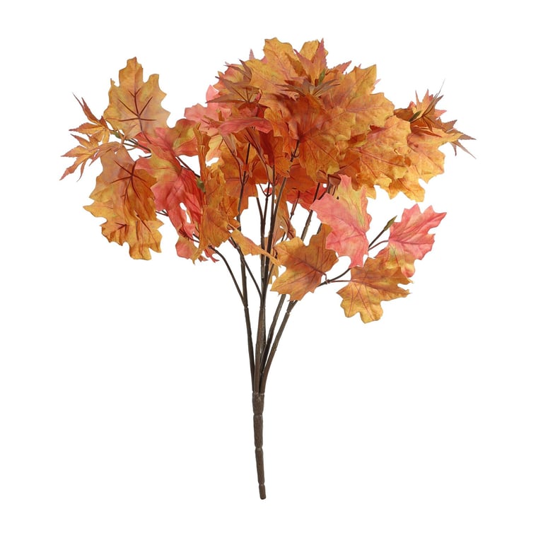 Autumn Maple Bush - Vibrant Orange Foliage for Fall Landscaping