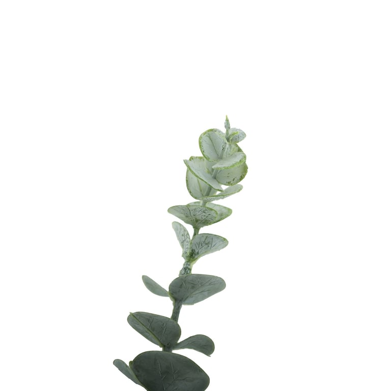 Essential Grey Eucalyptus Bush - 5 Heads Indoor Plant, Home Decor and Garden Decoration