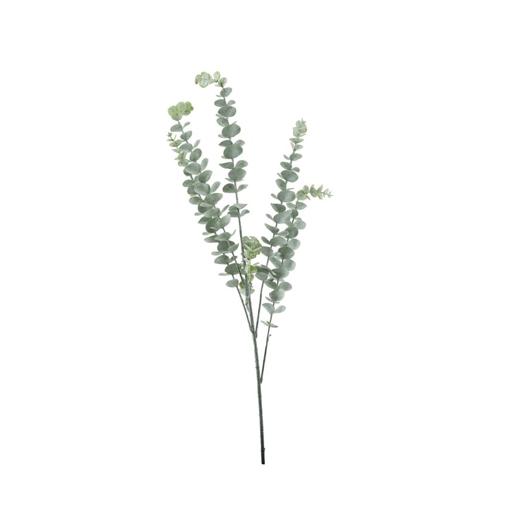 Essential Grey Eucalyptus Bush - 5 Heads Indoor Plant, Home Decor and Garden Decoration
