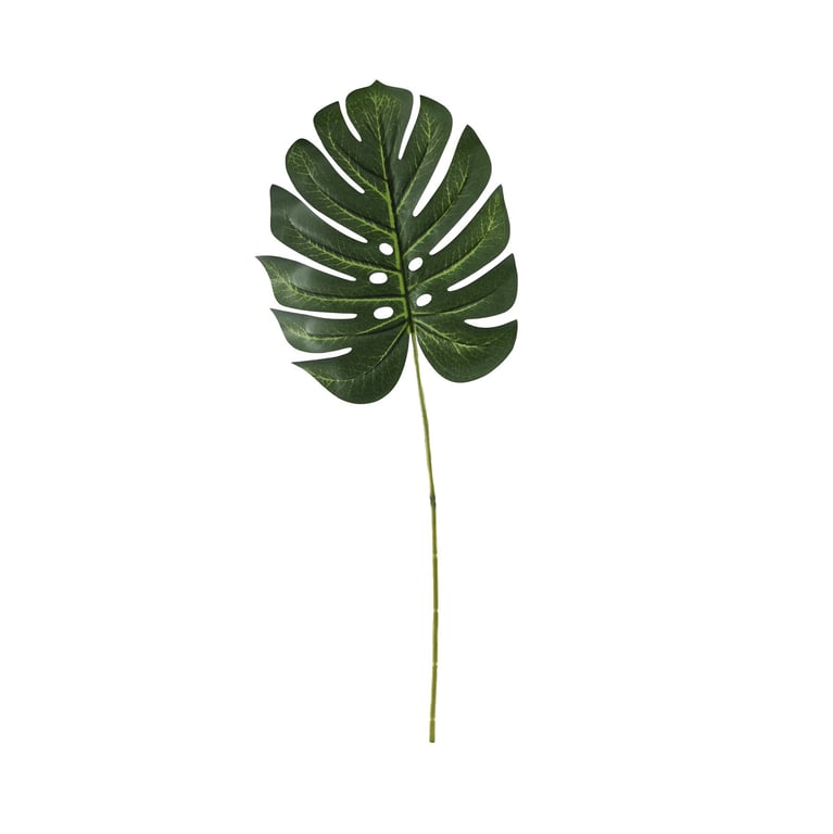 Essential Small Green Monstera Leaf - Unique Home Decor Plant for Indoor Foliage Design
