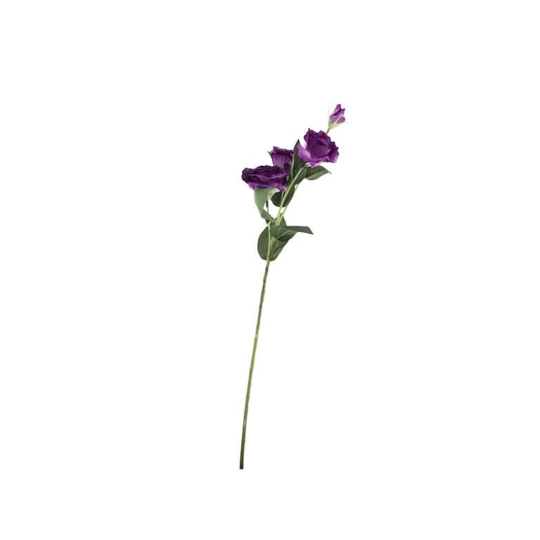 Essential Purple Lisianthus - Dainty, Romantic Flowers for Home Garden Decor & Wedding Bouquets