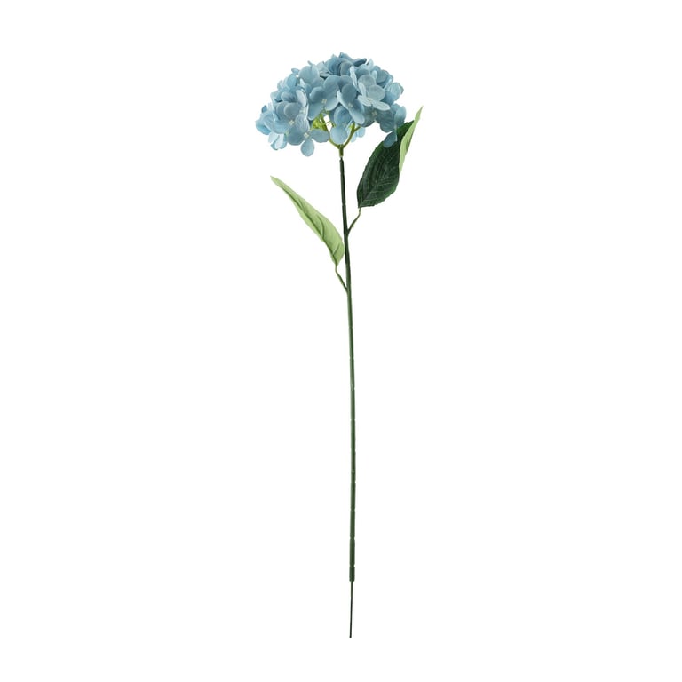 Essential Blue Hydrangea - Fresh Cut Hydrangea Bouquet for Home Garden Decor