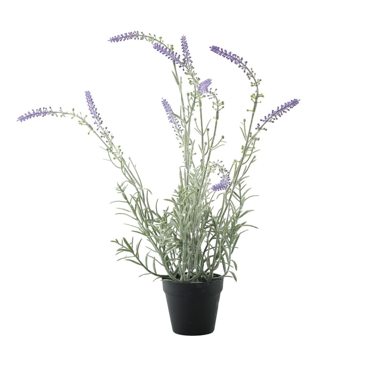 Essential Potted Lavender - Aromatic Indoor Plant for Home Gardening Supplies
