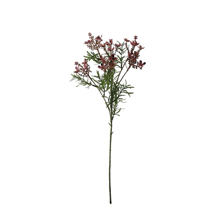 Essential Lavender Broom Bloom - Natural Home Fragrance with Soothing Essential Oil Aroma