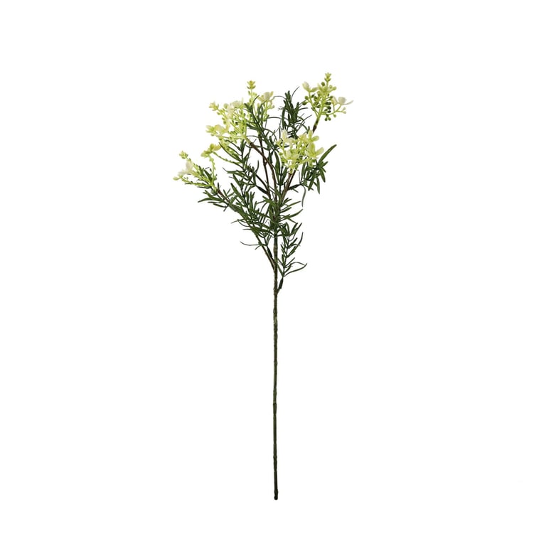 Essential White Broom Bloom - Premium Garden and Home Cleaning Tool