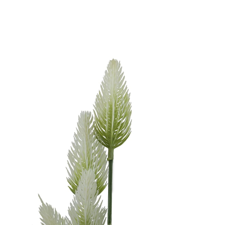 White Thistle Essential Oil - Natural Home Fragrance & Aromatherapy Oil