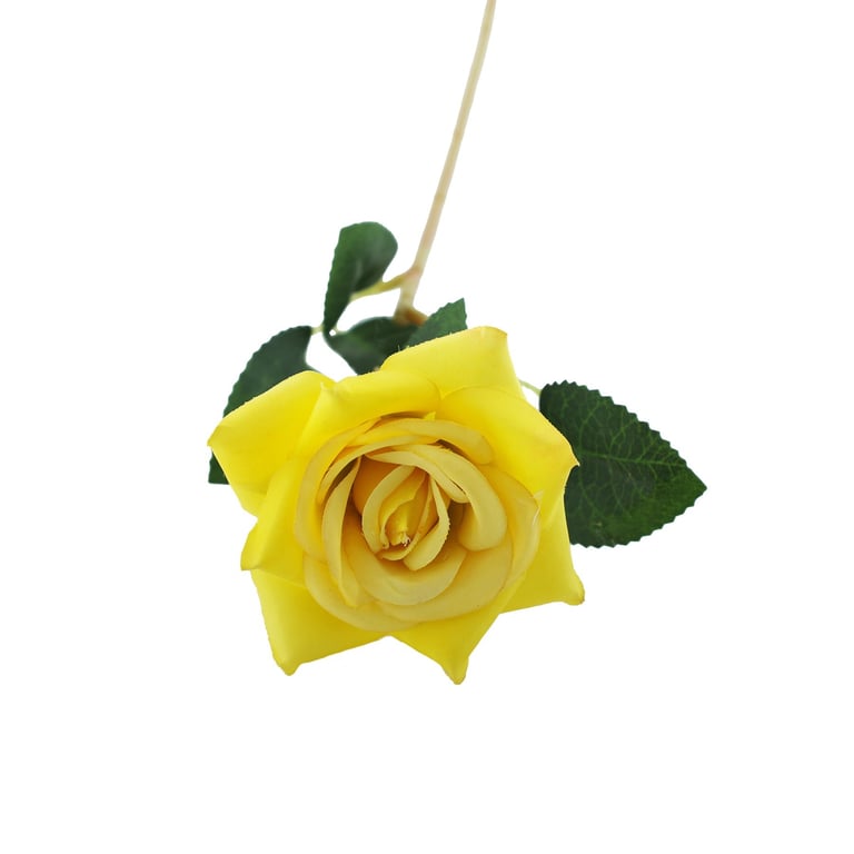 Yellow Rose Essential Oil - Home Fragrance and Aromatherapy Scented Oil