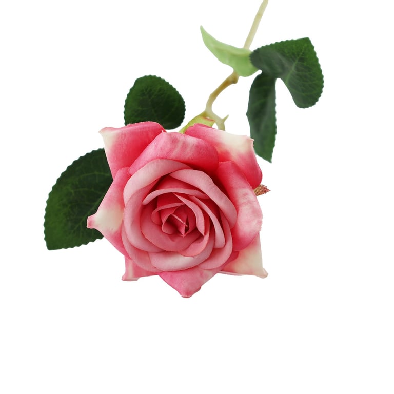 Dark Pink Rose Essential Oil for Home Fragrance and Beauty Essence - Natural Rose Scent Perfume