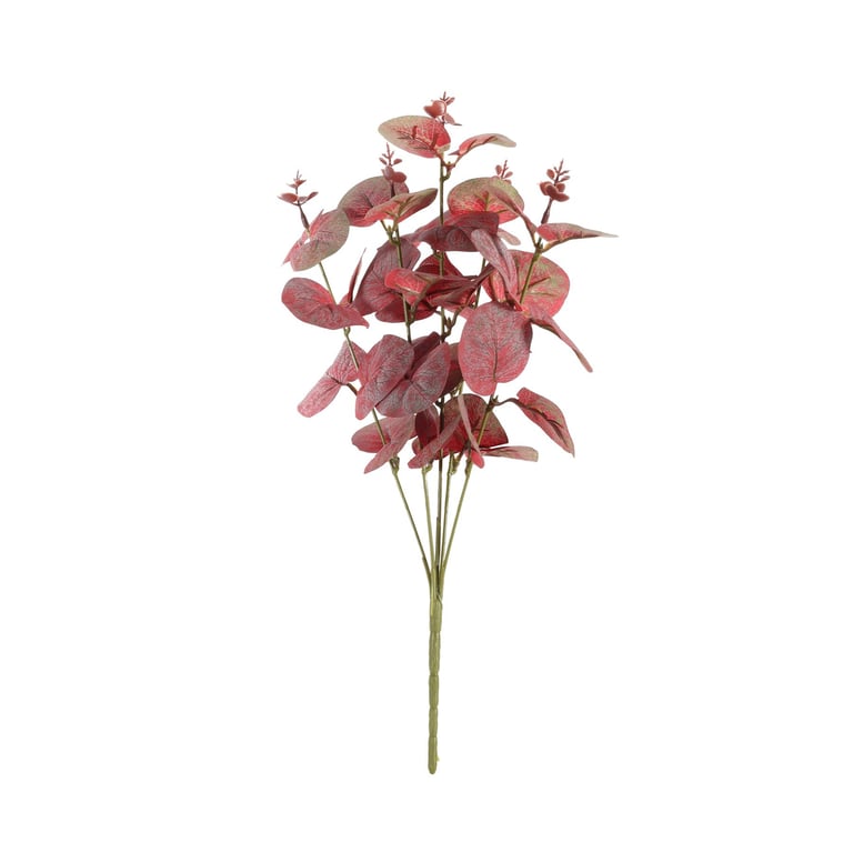 Essential Red Eucalyptus Bush - Scented Indoor Plant for Home Decor and Garden Decoration