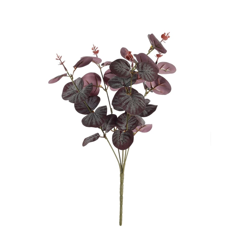 Eucalyptus Bush - Natural Essential Oil for Home Aromatherapy Relaxation