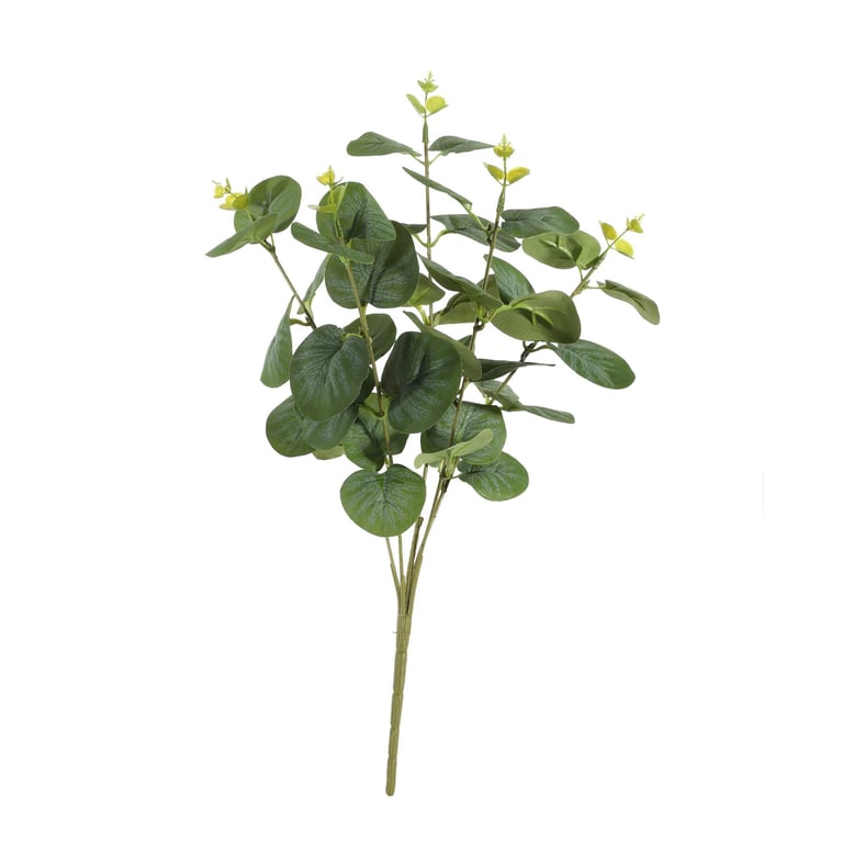 Essential Eucalyptus Bush - Fresh Green Indoor Garden Plant for Home Decor