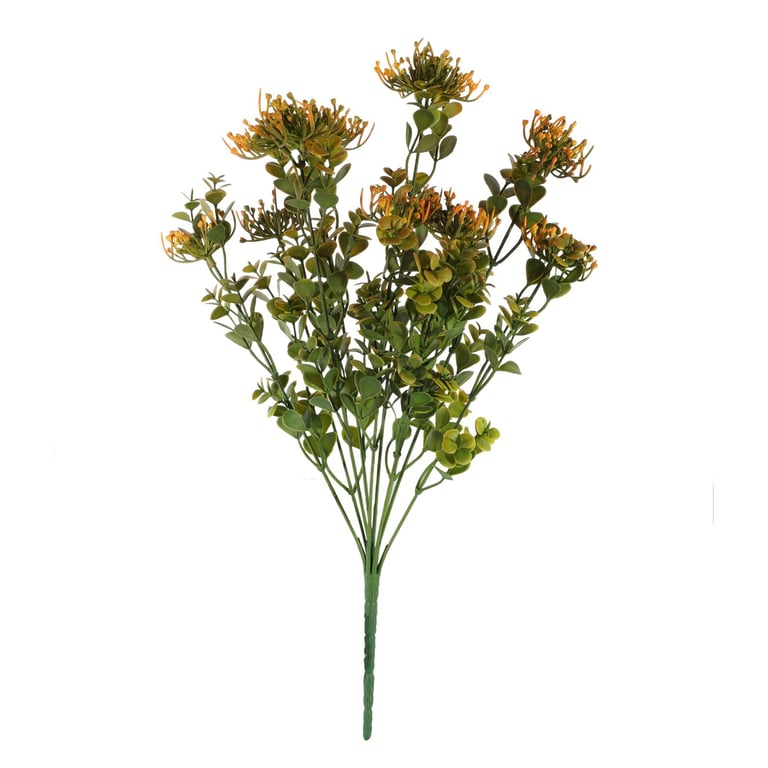 Essential Orange Sedum - Low Maintenance Succulent Garden Plant for Outdoor Decor