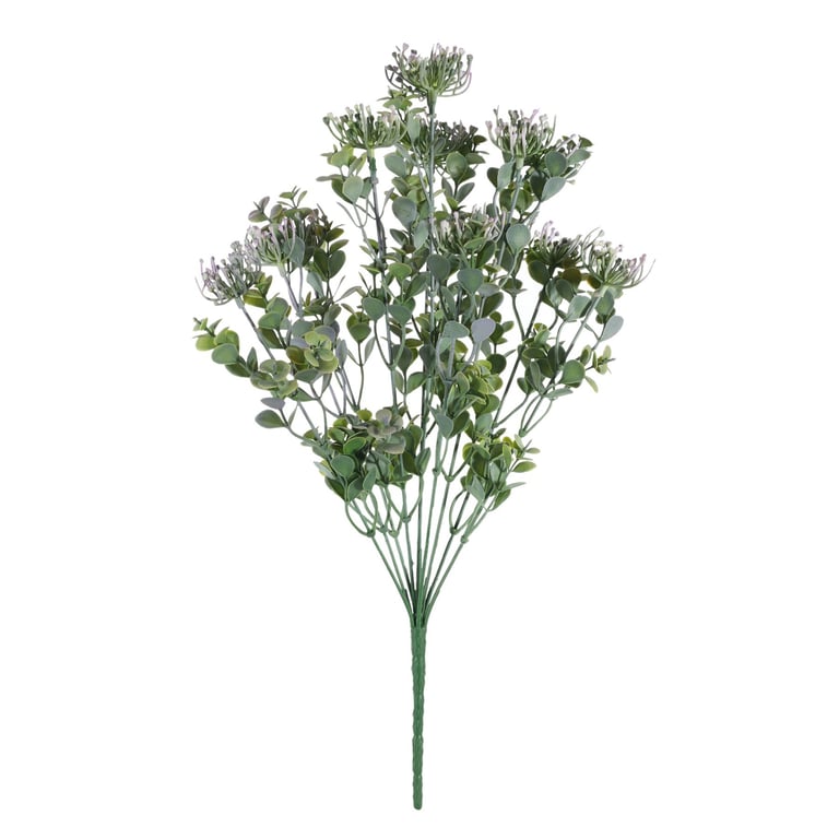 Essential Lilac Sedum Bush - Low Maintenance Indoor Succulent Plant for Houseplant Decor