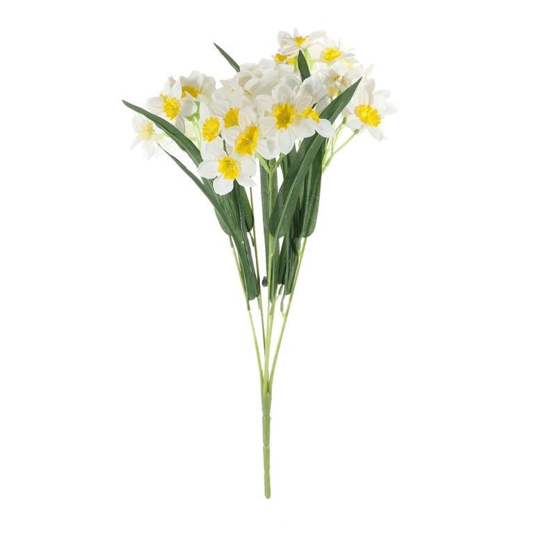 Essential White Narcissus Bush - Long-Lasting Outdoor Flower with Leaves and Beautiful White Blooms for Garden Decorations