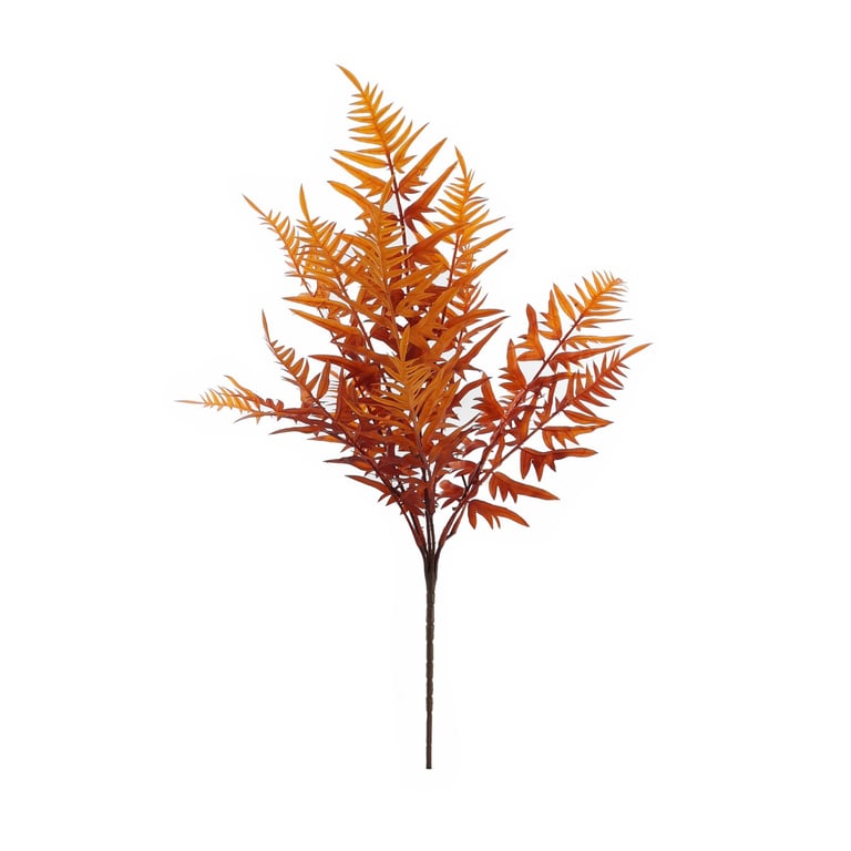 Essential Autumn Hardy Fern - Drought Tolerant Outdoor Plant for Fall Garden Decor
