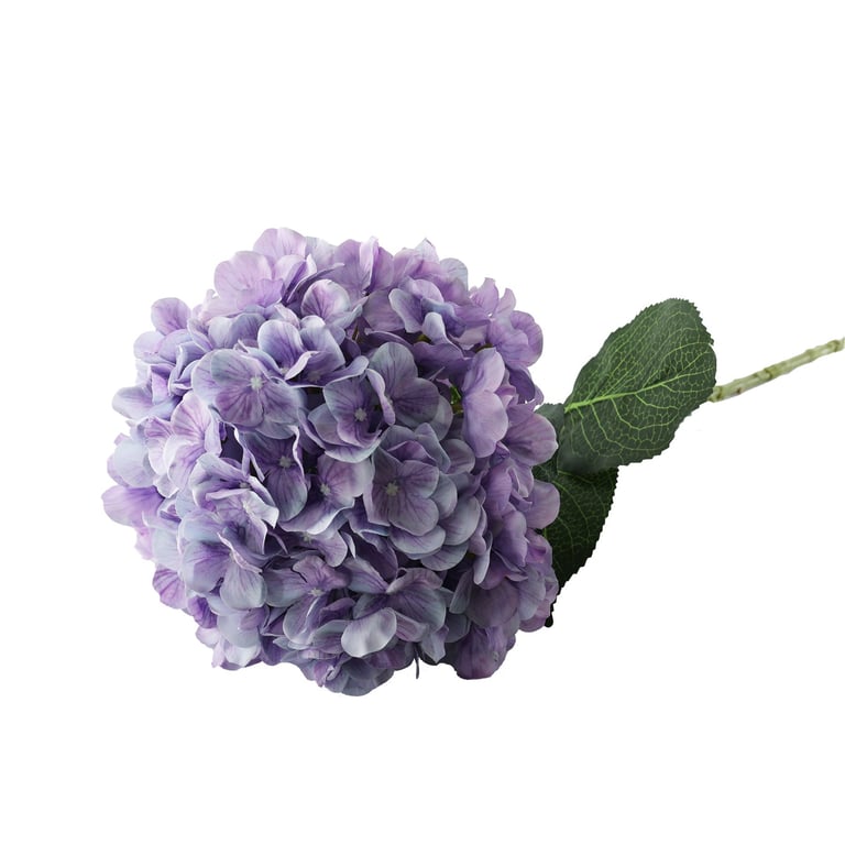 Essential Lilac Giant Hydrangea - Large Home Garden Decorations & Floral Arrangements