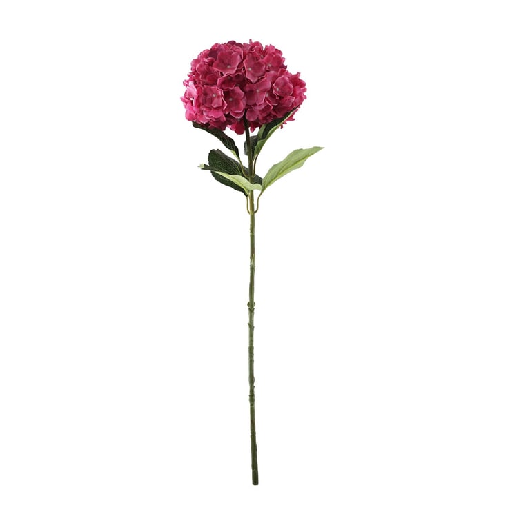 Dark Pink Giant Hydrangeas - Essential Home Decor Flowers for Arrangement and Garden Decoration