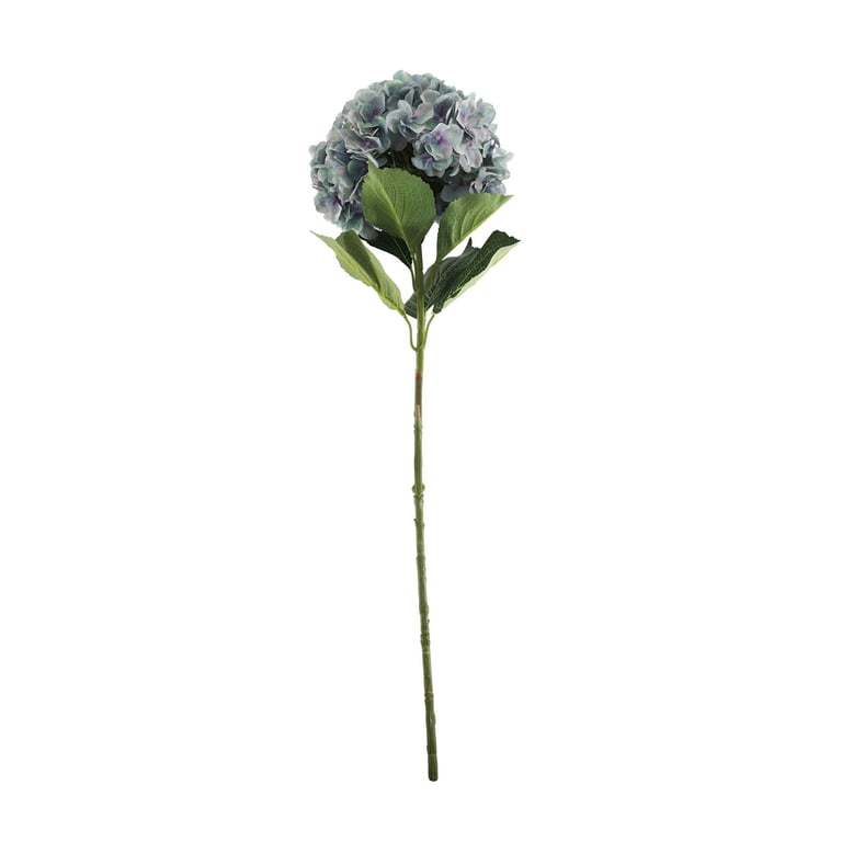 Essential Lilac/Green Giant Hydrangea - Large Blooming Garden Plant for Home Decor and Outdoor Arrangements