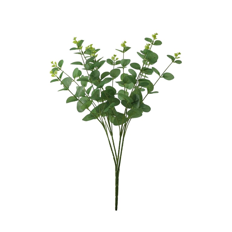 Essential Green Eucalyptus Bush - Natural Air Freshener & Home Aromatherapy Plant