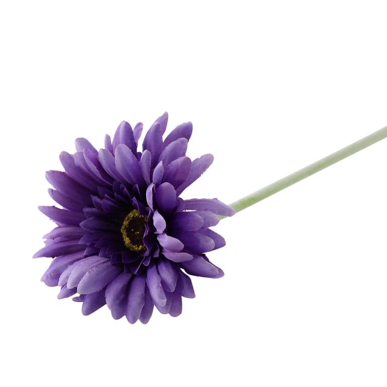 Purple Gerbera Essential Flowers - Beautiful Bouquet Arrangement for Home Decor and Garden