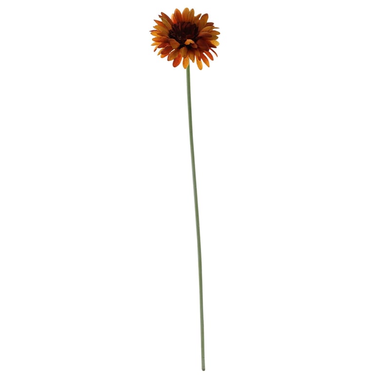 Essential Burnt Gold Gerbera - Long-Lasting Home Decor Flowers for Floral Arrangements and Garden Decorations