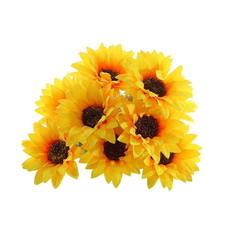 Essential Sunflower Mix Bush - Attracts Wild Birds and Blooms in Outdoor Gardens