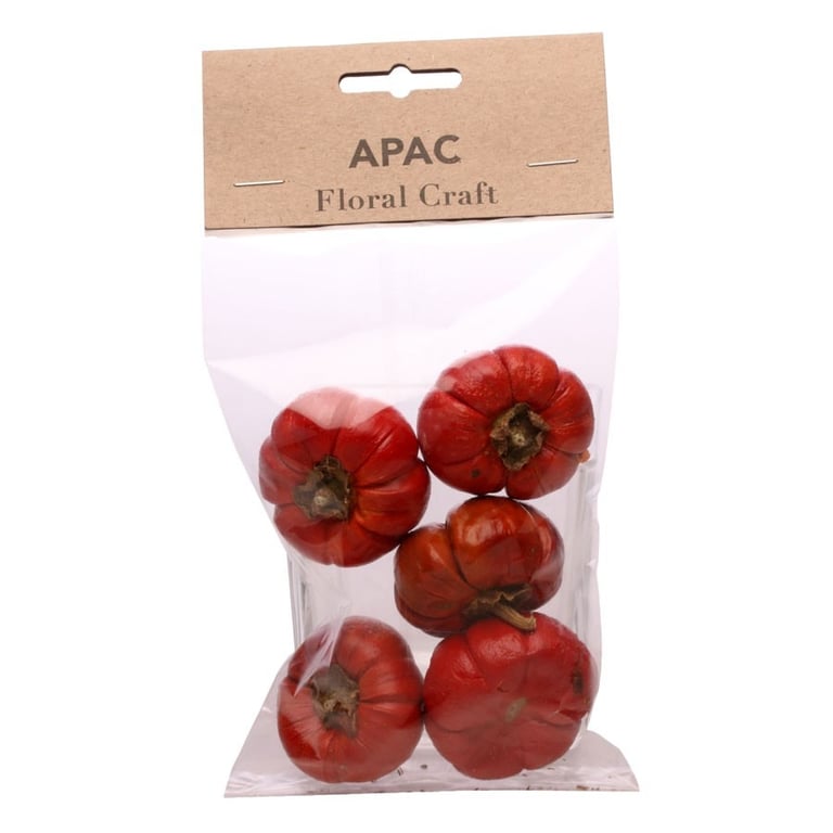 Mini Pumpkin Set - 5 Small Pumpkins for Autumn Decorations and Halloween Props