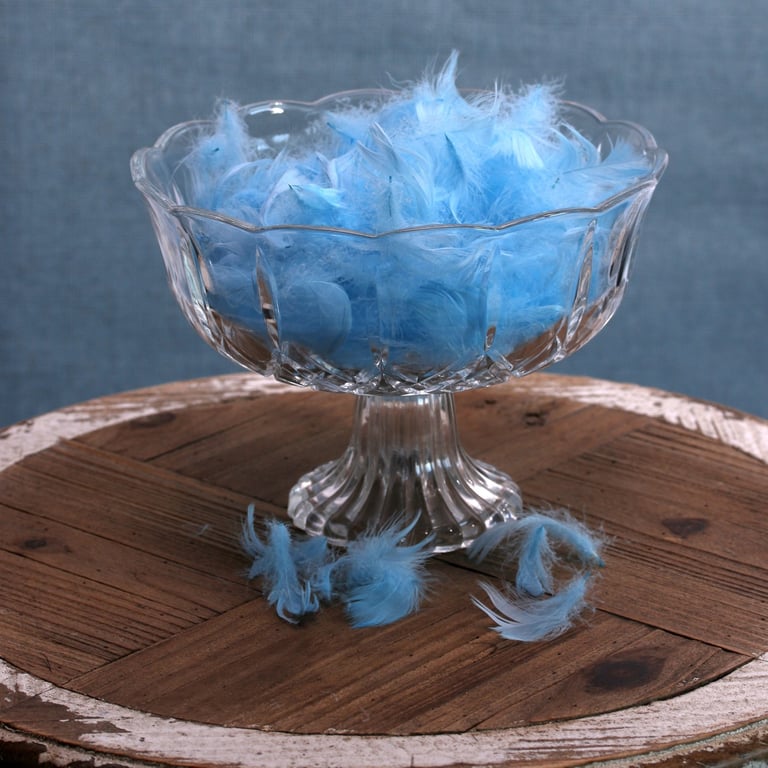 Baby Blue Feathers - 5g Bag of Craft Supplies for Home Decor and Party Decorations