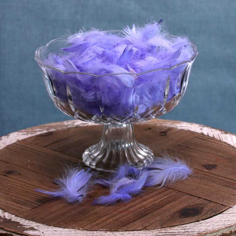 Light Purple Feathers - 5g Bag of Decorative Accents for Home and Fashion Decoration