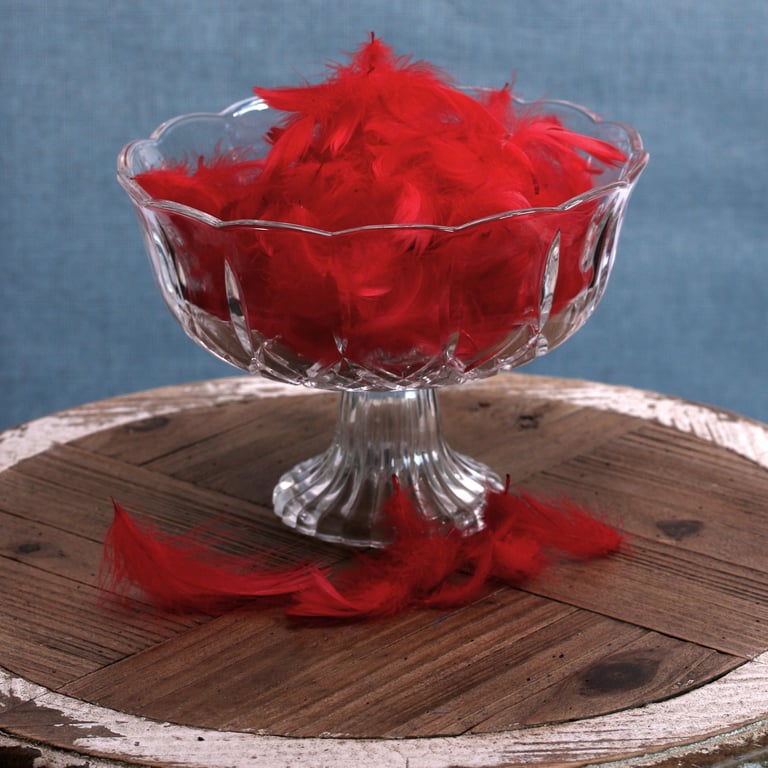 Red Feathers in Ornate Feather Bag - Perfect Home Decor Accent