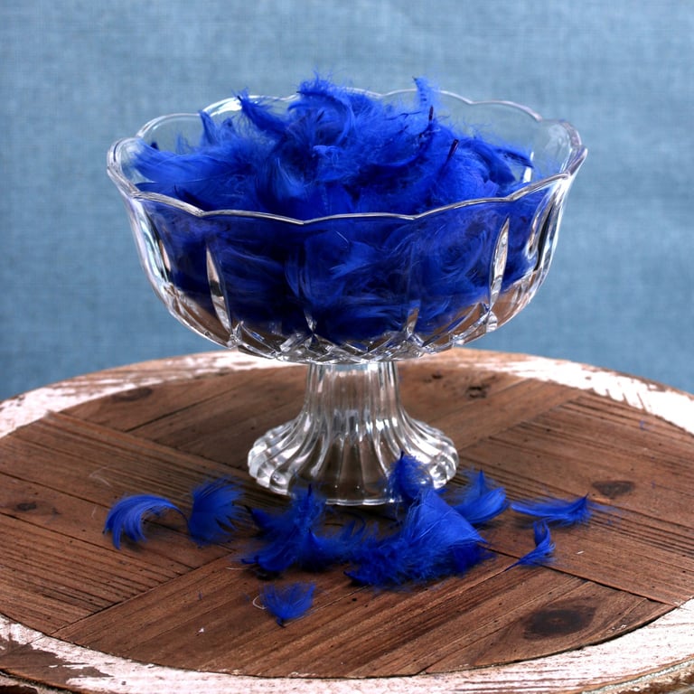 Royal Blue Feathers - Decorative Home Decor Craft Pack (5g)