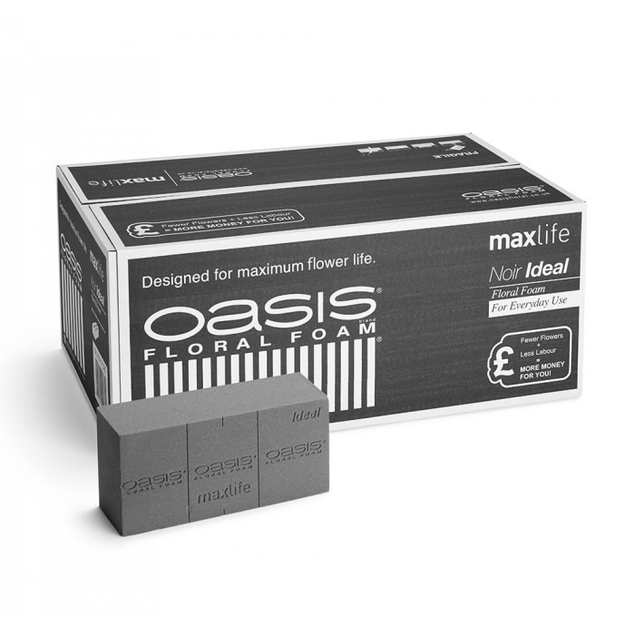 Oasis Idea Dark Foam Brick (20pk) - Insulated Garden Decor and Home Supply