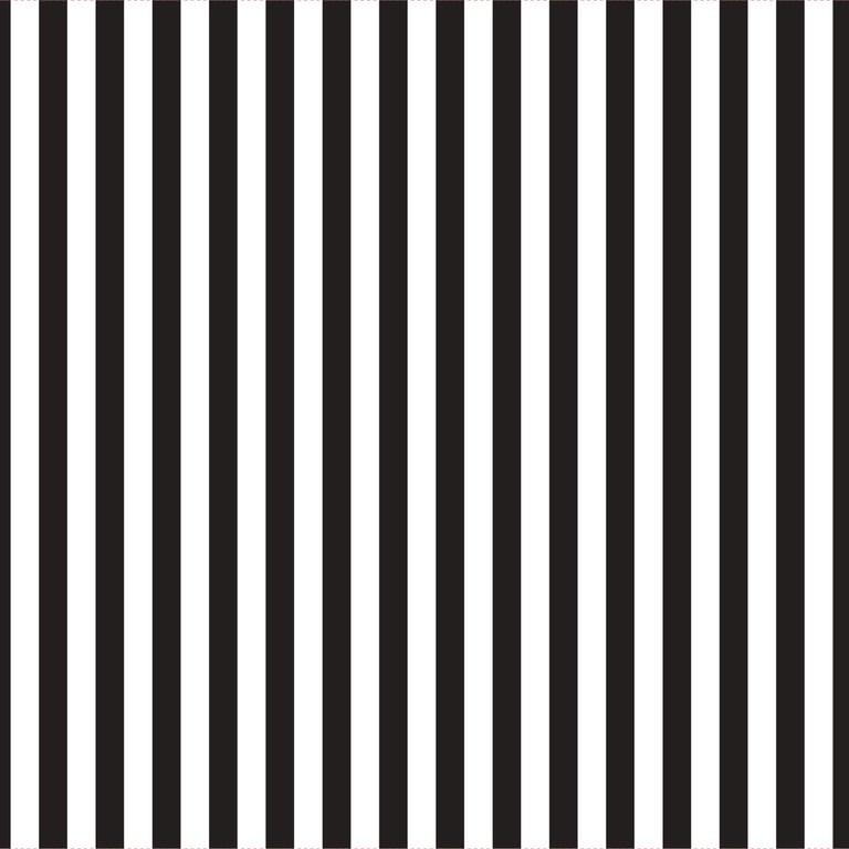 Clear Black Pinstripe Cello Wrap - 50mx80cm Food Storage Wrap for Kitchen Use