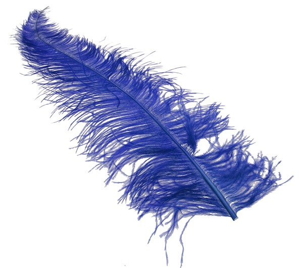 Royal Blue Ostrich Feathers x5 - Luxury Home Decor Accents & Fashion Statement Pieces