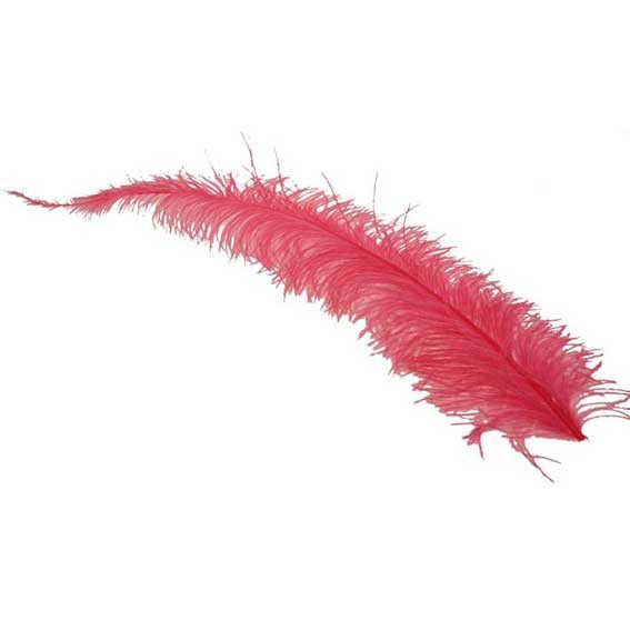Fuchsia Ostrich Feathers - 5 Piece Decorative Plume Set for Home & Fashion Decoration