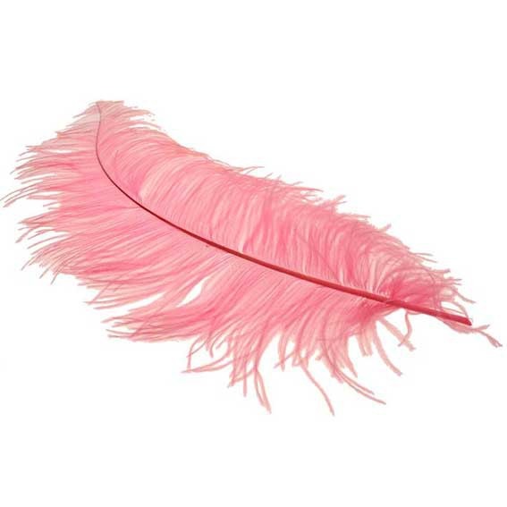 Light Pink Ostrich Feathers - 5 Piece Boho Chic Home Decor and Fashion Accent