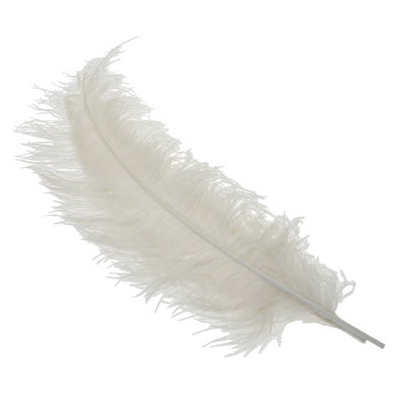 White Ostrich Feathers - 5 Pieces for Home Decor, Fashion & Beauty Accents