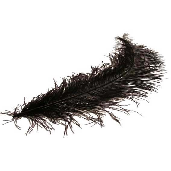 Black Ostrich Feathers - Home Decor and Fashion Accessories x 5